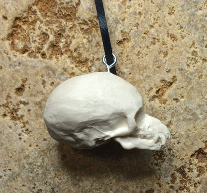 Werewolf Fetal Skull Ornament, Resin Sculpture | Gothic Fantasy Skull Figurine | Werewolf Skull Ornament for Fantasy and Gothic Decor
